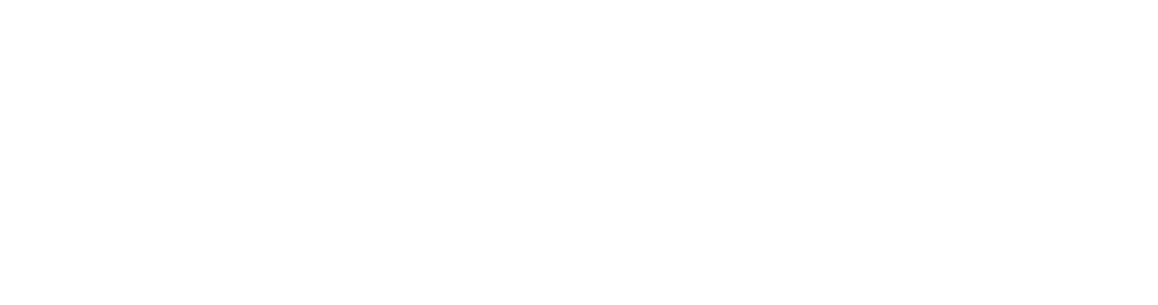 Zoomoid Logo